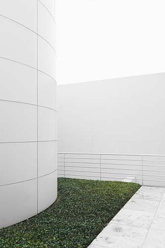 los angeles terrace with plant field minimal